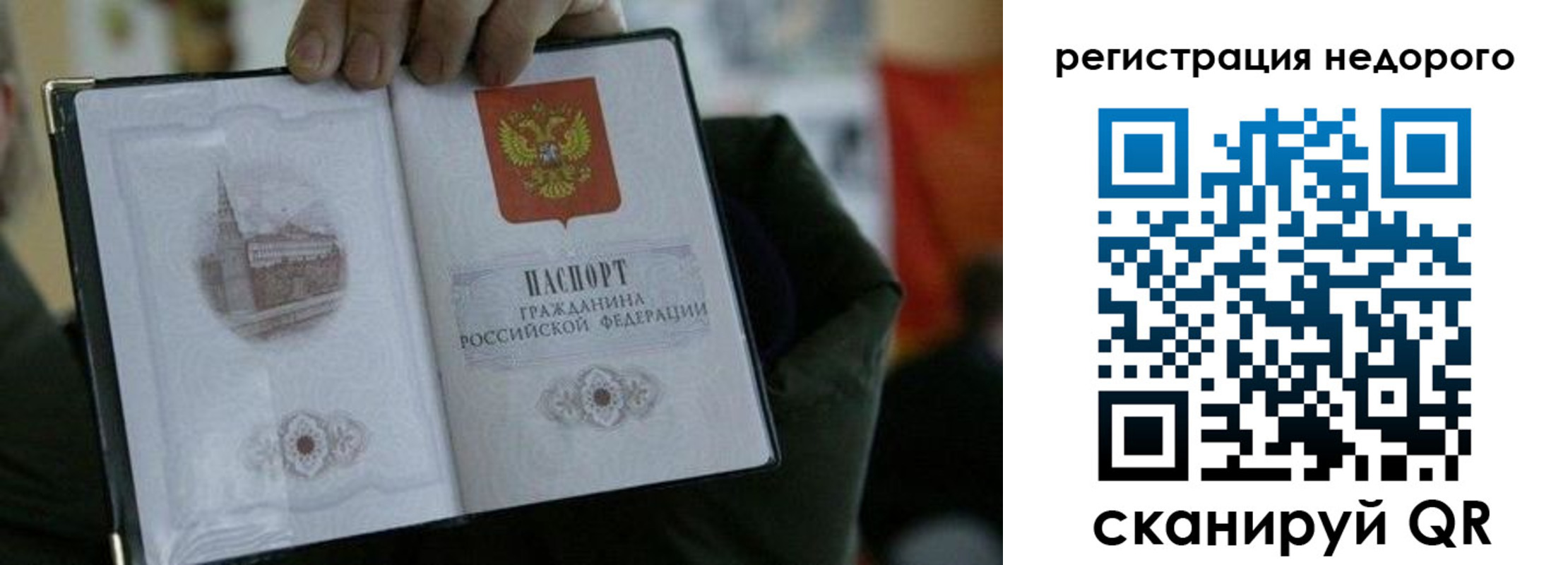 временная регистрация поиск в Жуковском